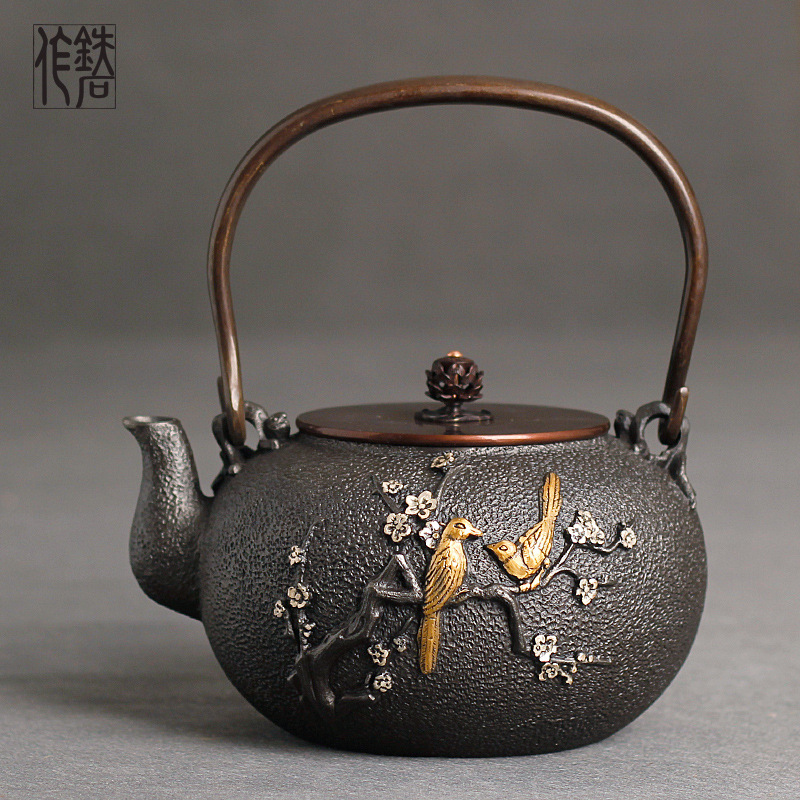Cast Iron Teapot - Nueva tetera de hierro fundido, tetera