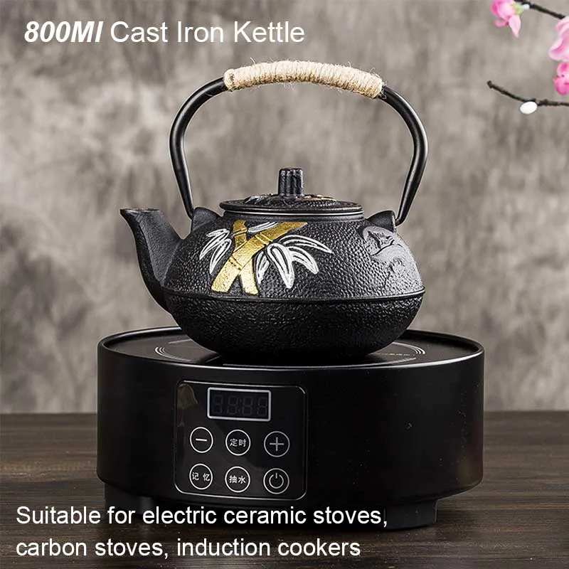 Botella de agua de hierro fund - Cast Iron Teapot reseña y precio