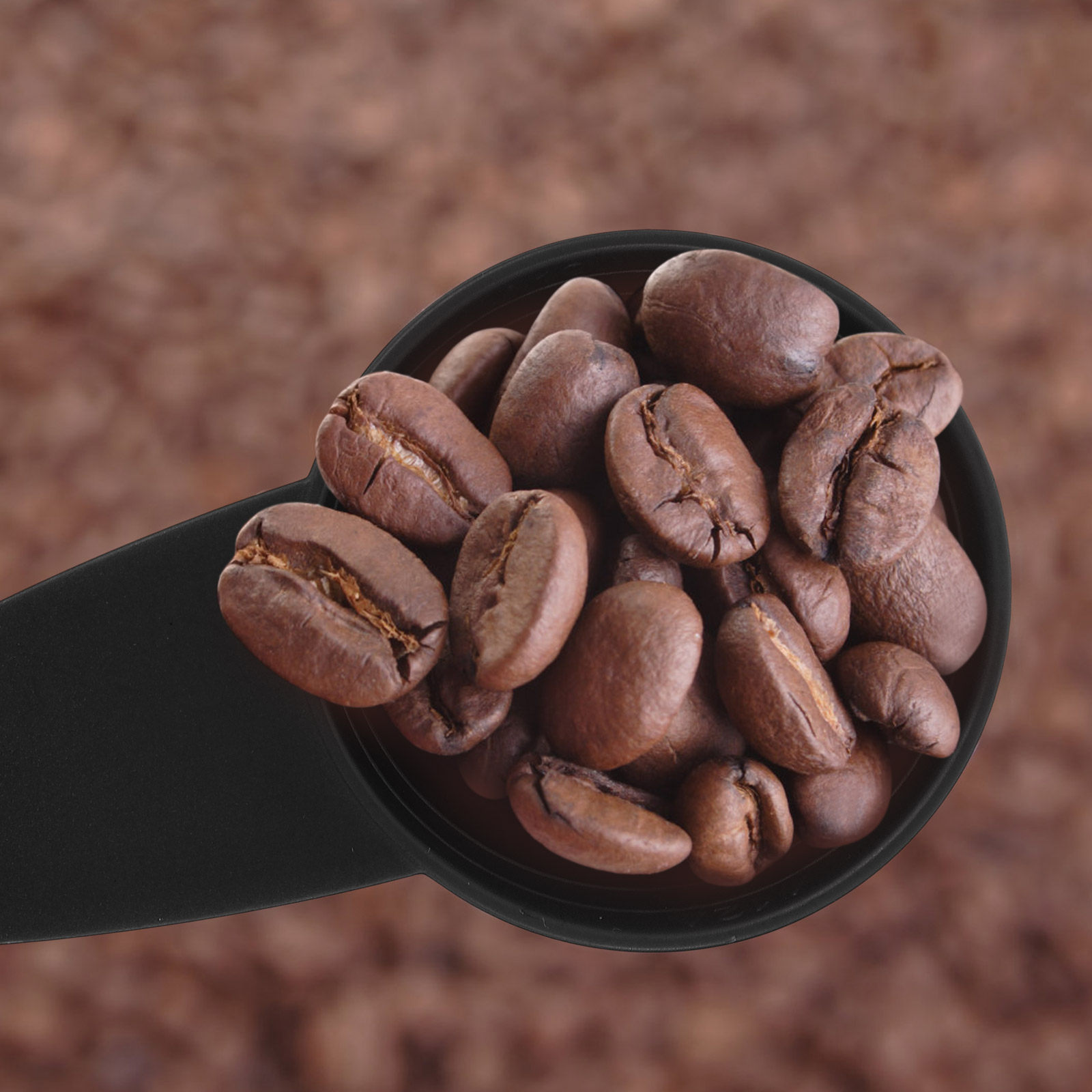 Cucharas medidoras de mango la - Coffee Tea Spoon reseña y precio