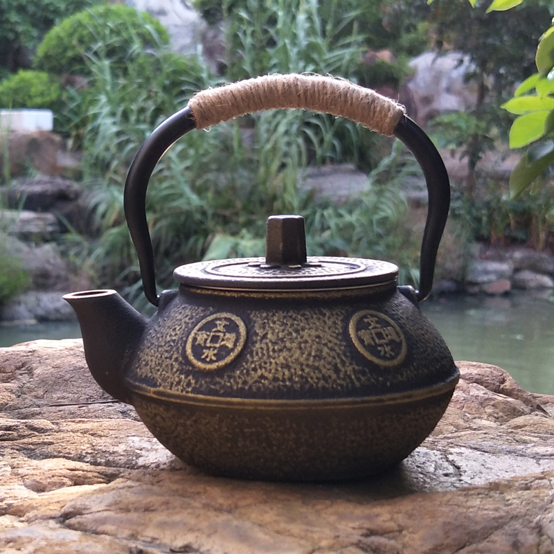 Tetera japonesa de hierro fund - Cast Iron Teapot reseña y precio
