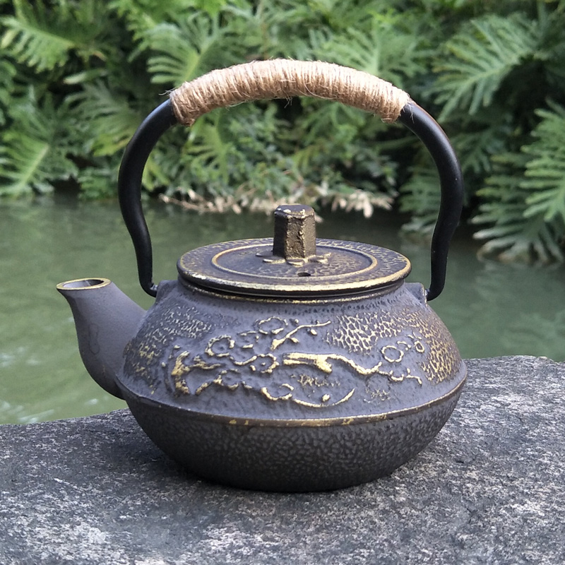 Tetera japonesa de hierro fund - Cast Iron Teapot reseña y precio