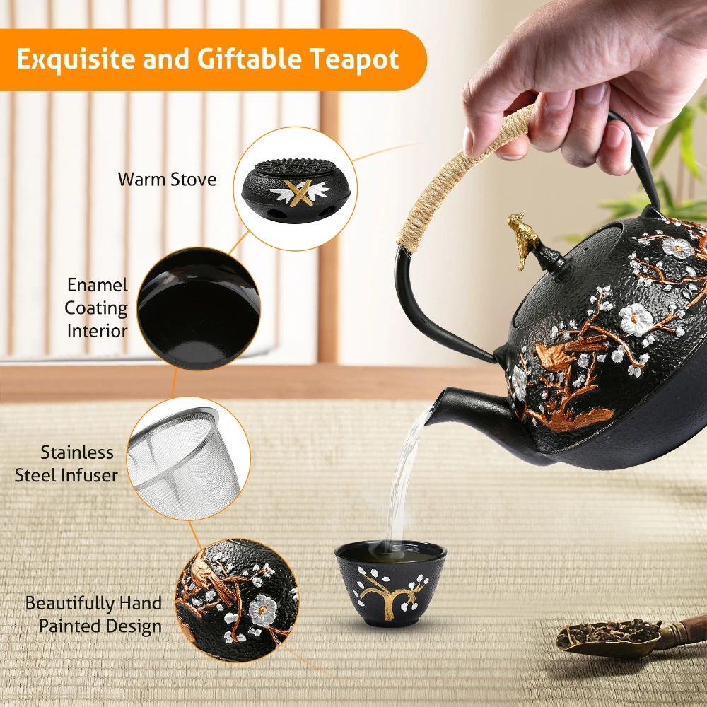 Juego de tetera de hierro fund - Cast Iron Teapot reseña y precio